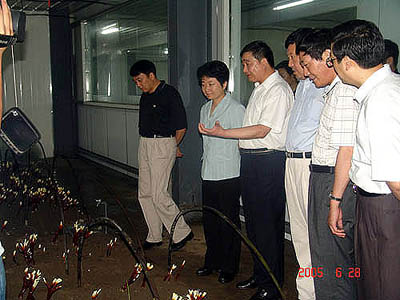 金年会