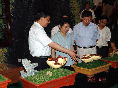 金年会