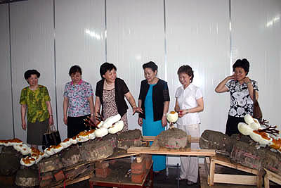 金年会