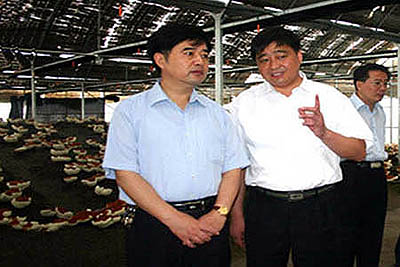 金年会