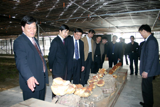 金年会