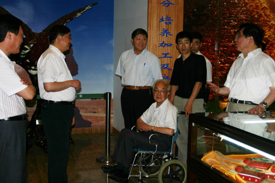 金年会