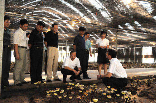 金年会